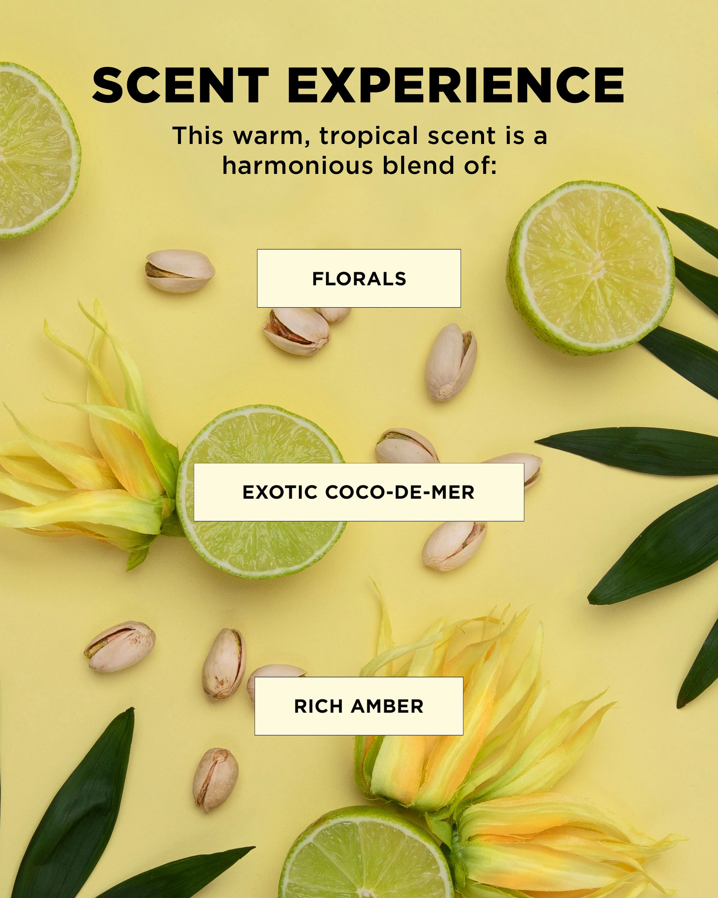 BOUNCE.ME • Wash Day Duo for Curl Definition - Image 8